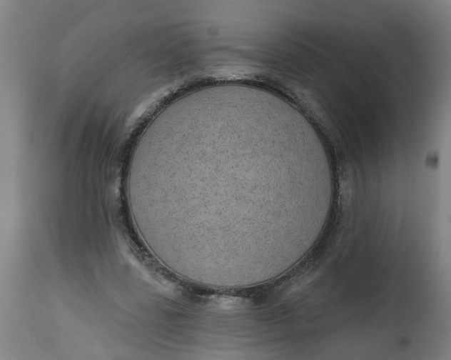 X0000112480539200909071200