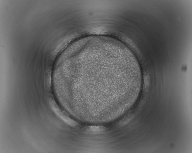 X0000112480541200909071200