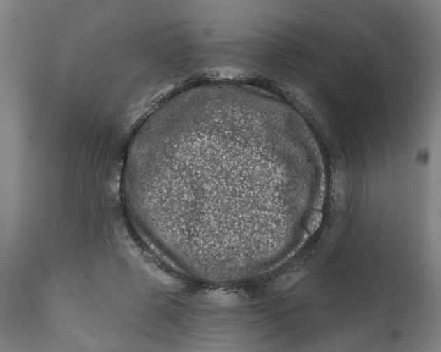 X0000112480545200909071200