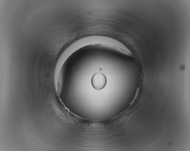 X0000112480546200909071200