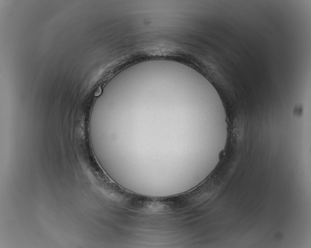 X0000112480547200909071200