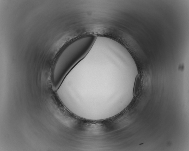 X0000112480548200909071200