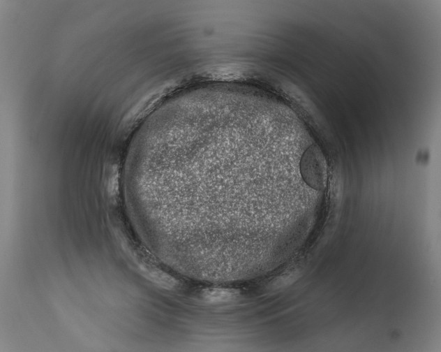 X0000112480549200909071200