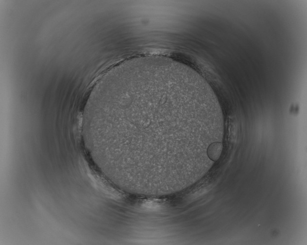 X0000112480550200909071200