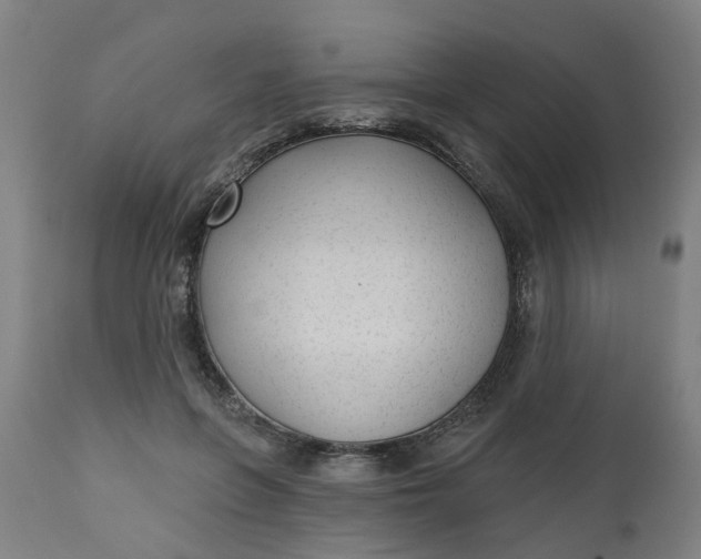 X0000112480551200909071200