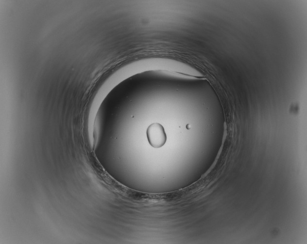 X0000112480552200909071200