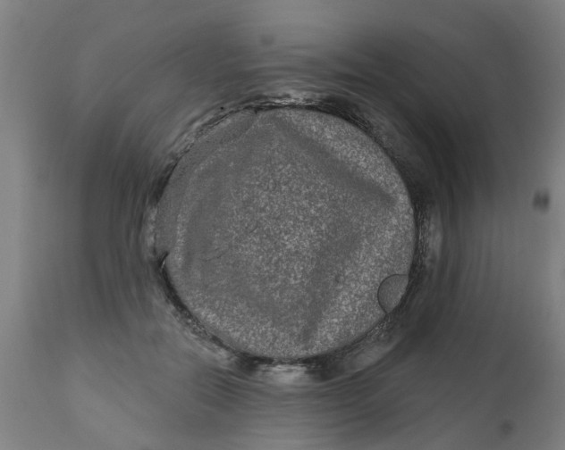 X0000112480554200909071200