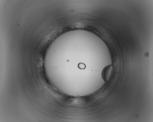 X0000112480555200909071200