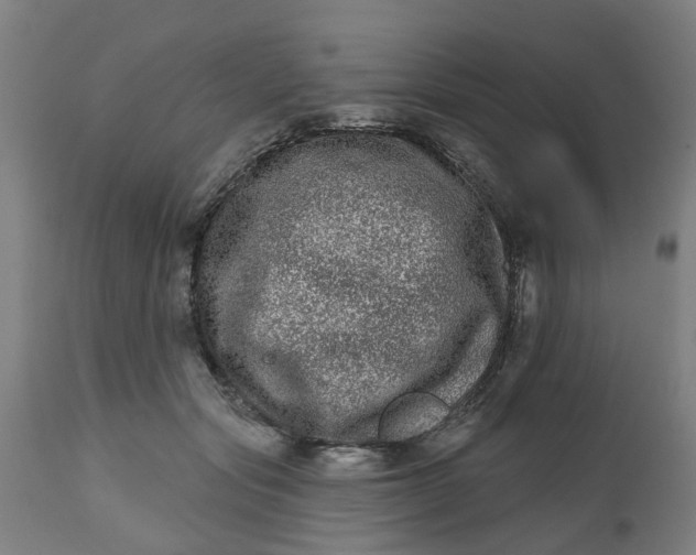 X0000112480557200909071200