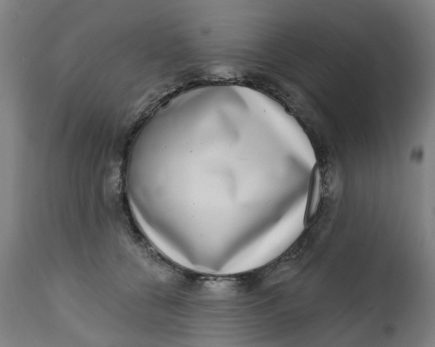 X0000112480560200909071200