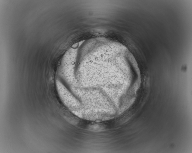 X0000112480561200909071200