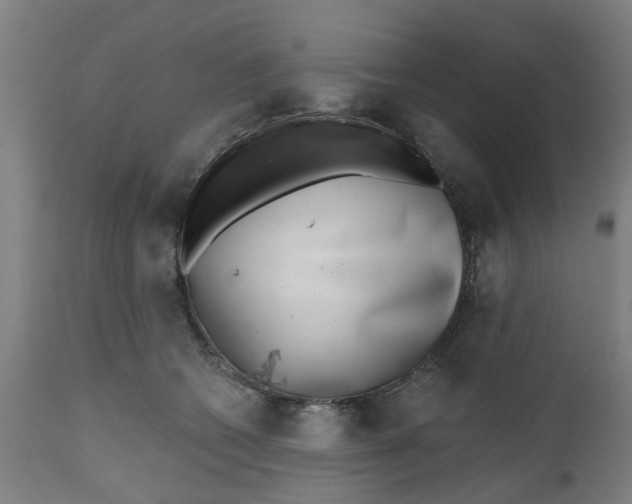 X0000112480562200909071200