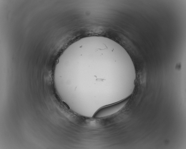 X0000112480564200909071200