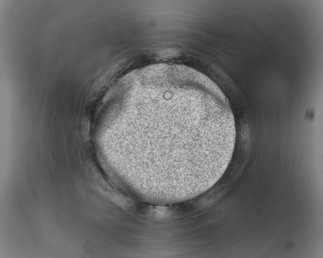 X0000112480565200909071200