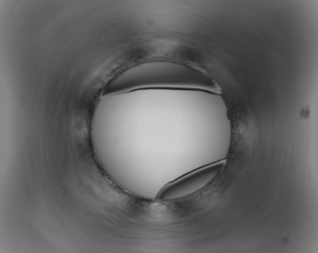 X0000112480566200909071200