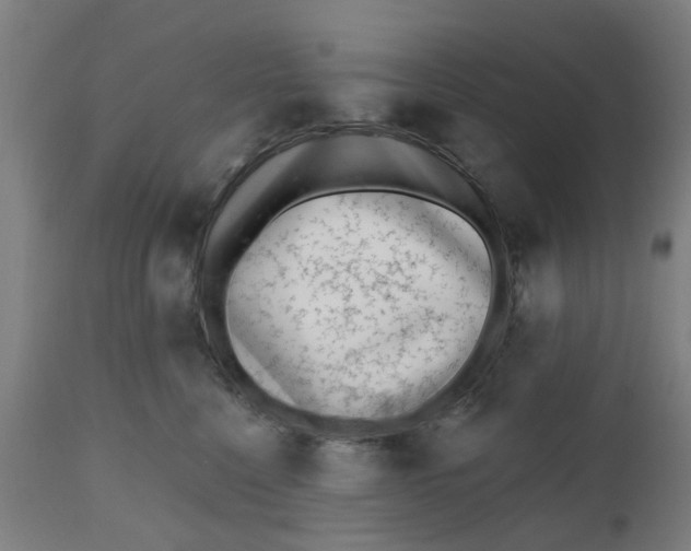 X0000112480568200909071200