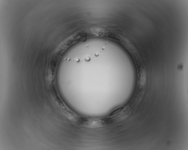 X0000112480569200909071200