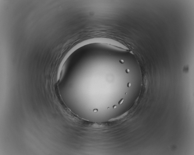 X0000112480570200909071200