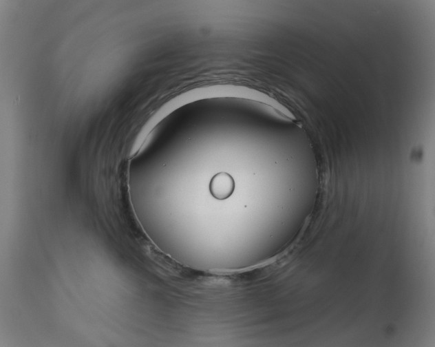 X0000112480572200909071200