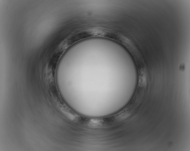 X0000112480573200909071200