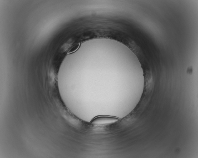 X0000112480574200909071200