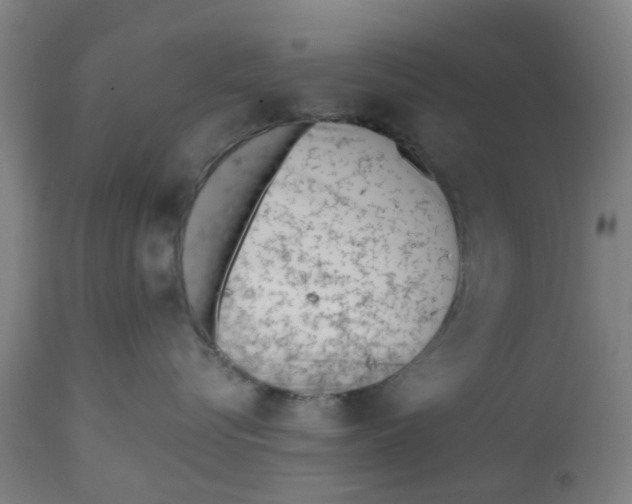 X0000112480576200909071200