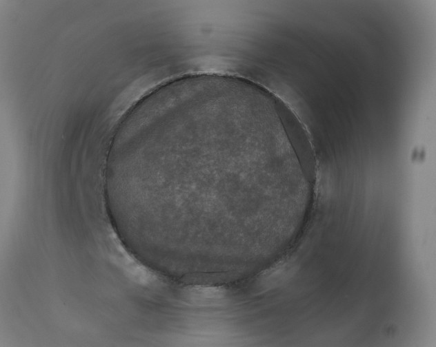 X0000112480577200909071200