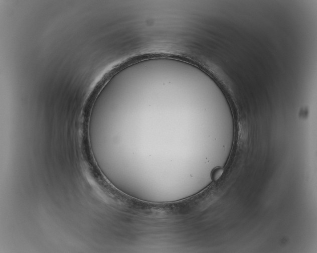 X0000112480580200909071200