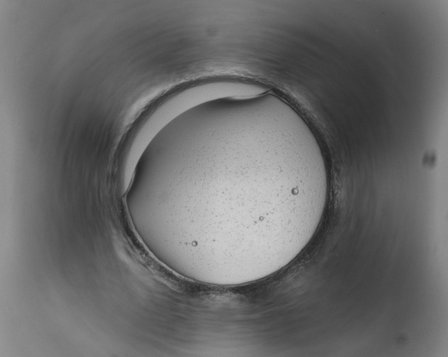 X0000112480583200909071159