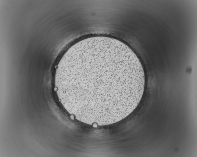 X0000112480584200909071159