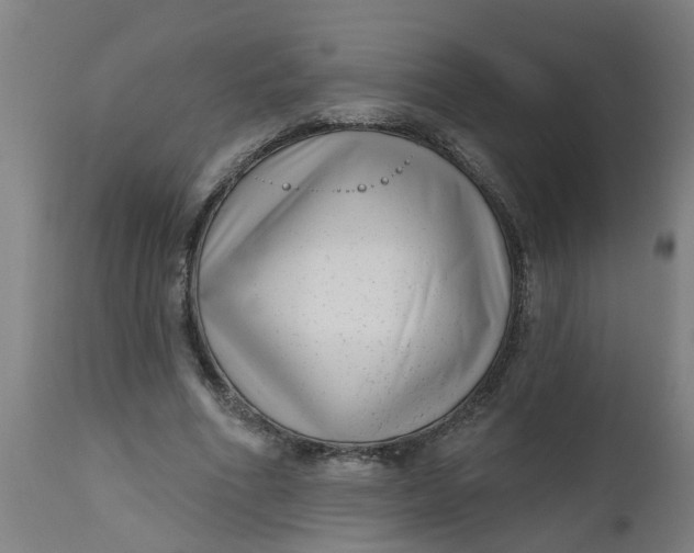 X0000112480586200909071159