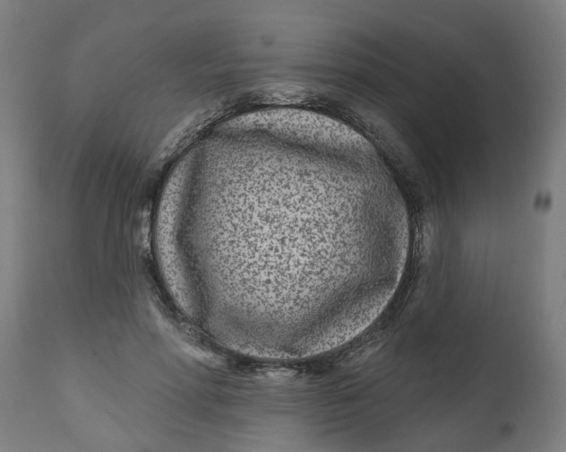 X0000112480598200909071159