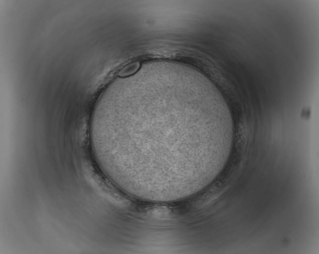 X0000112480600200909071159