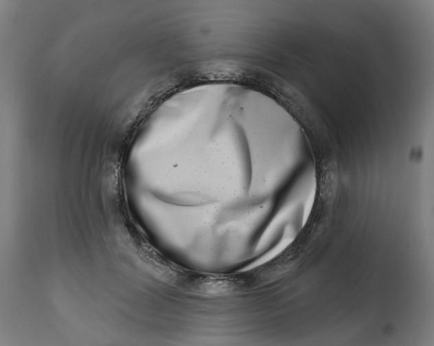 X0000112480604200909071159