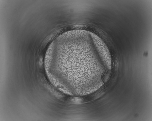 X0000112480610200909071159