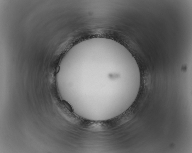 X0000112480611200909071159