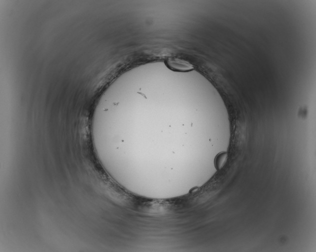 X0000112480612200909071159