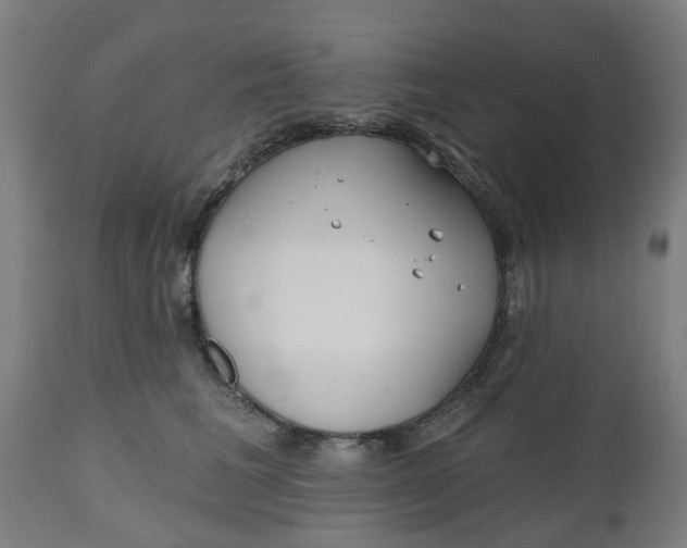 X0000112480613200909071159