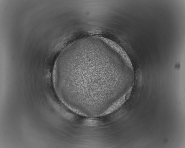 X0000112480614200909071159