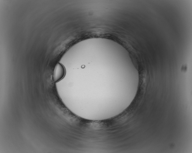 X0000112480615200909071159