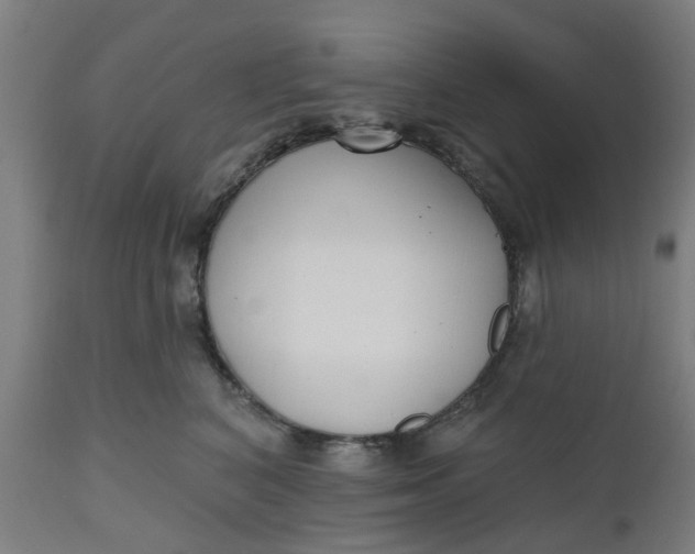 X0000112480616200909071159