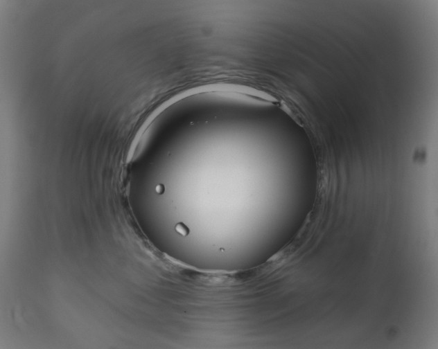 X0000112480621200909071159