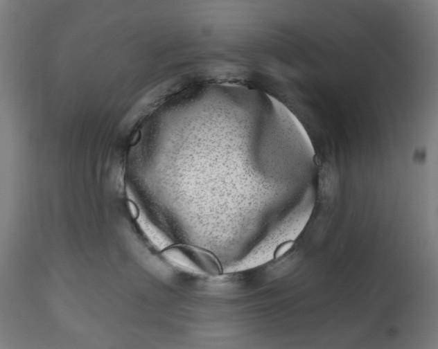 X0000112480622200909071159