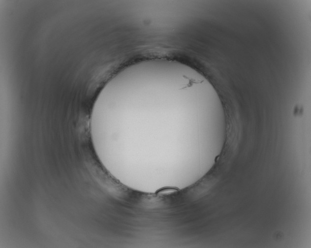 X0000112480624200909071159