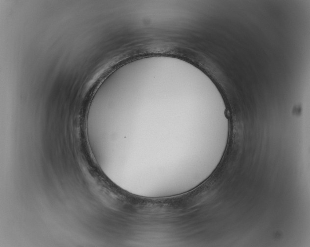 X0000112480626200909071158