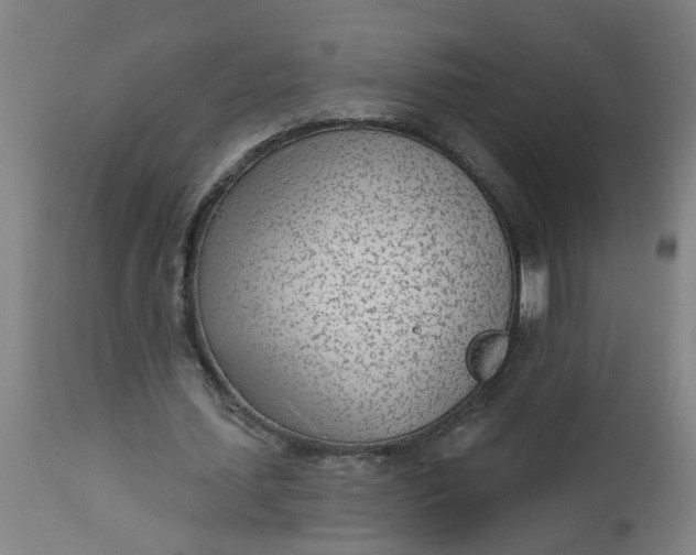 X0000112480627200909071158