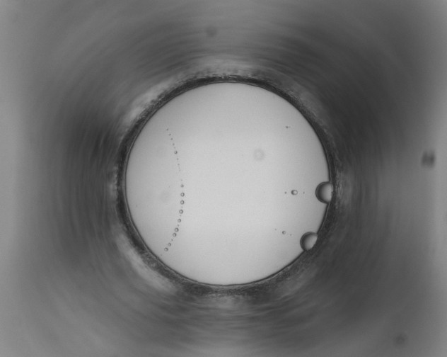 X0000112480629200909071158