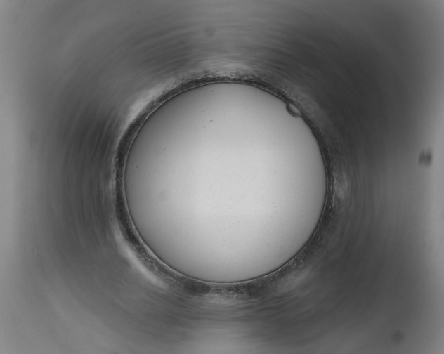 X0000112480630200909071158