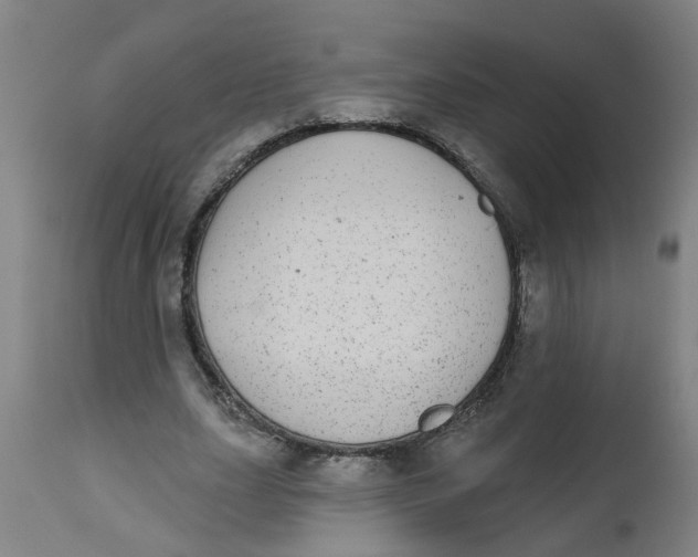 X0000112480631200909071158