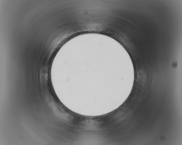 X0000112480632200909071158